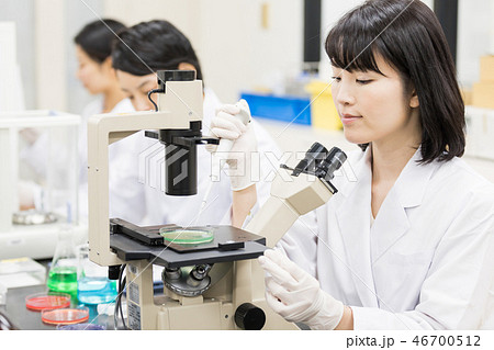 研究室　開発　実験室　臨床検査　バイオテクノロジー　新薬 46700512