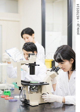 研究室 開発 実験室 臨床検査 バイオテクノロジー 新薬 研究室 開発 実験室 臨床検査 バイオテクノロジー 新薬 46700514