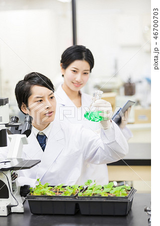 研究室 開発 実験室 臨床検査 バイオテクノロジー 研究室 開発 実験室 臨床検査 バイオテクノロジー 46700703