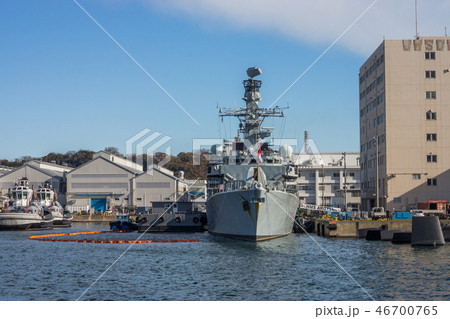 F231アーガイル 46700765