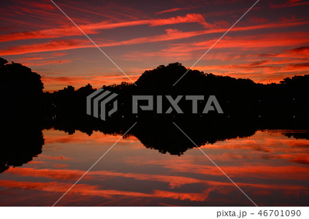 朝の光 湖 湖上 46701090