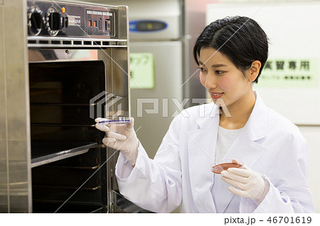 研究室　開発　実験室　培地　培養 46701619