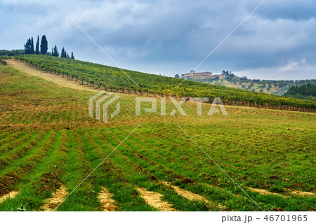 Landscape in Chianti region in province of Siena 46701965