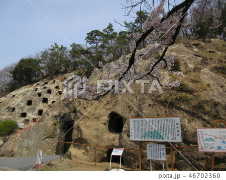 桜と吉見百穴 桜と吉見百穴 46702360
