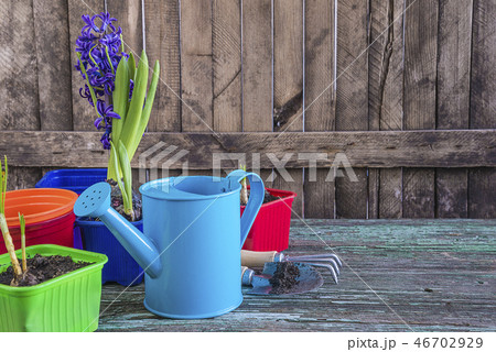 Spring gardening concept 46702929