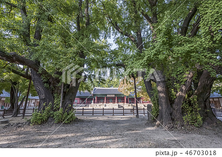 ソウルみかん 成均館 鍾路区 46703018