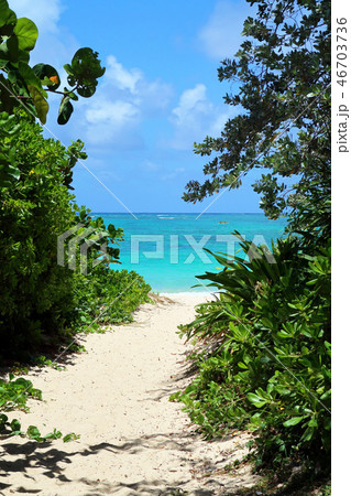 ハワイ・ラニカイビーチの小径 46703736
