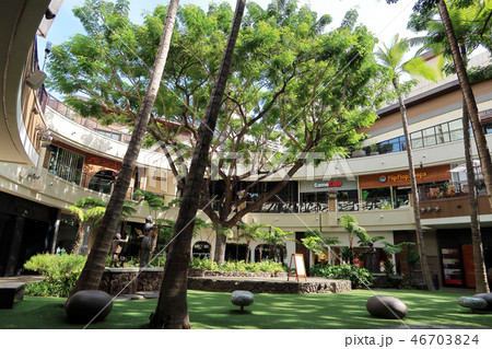 ハワイ・インターナショナルマーケットプレイス 46703824