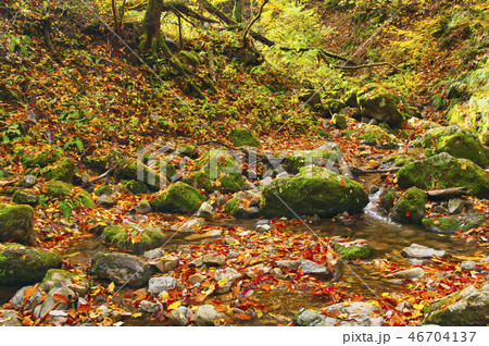 紅葉の御岳山 ロックガーデン 紅葉の御岳山 ロックガーデン 46704137