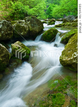 Woodland stream 46704495