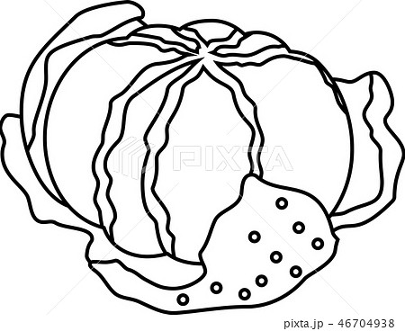 みかん オレンジ 果物 柑橘類 イラストのイラスト素材