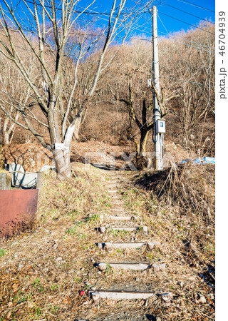 中之倉峠 登山道入り口 (山梨県南巨摩郡身延町) ※2016年12月撮影 中之倉峠 登山道入り口 (山梨県南巨摩郡身延町) ※2016年12月撮影 46704939