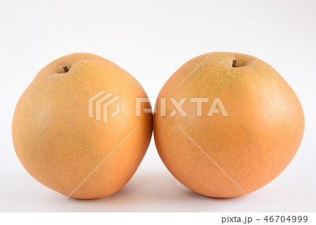 梨・新雪梨 梨・新雪梨 46704999