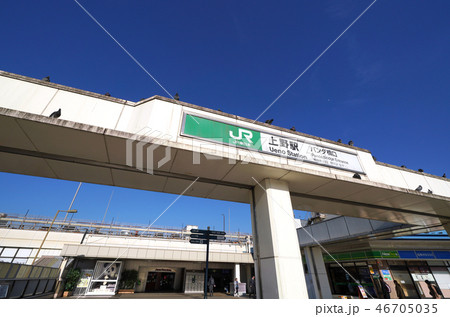 日本の東京都市景観 上野駅(パンダ橋口)を望む 日本の東京都市景観 上野駅(パンダ橋口)を望む 46705035