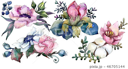 Pink floral botanical flower bouquet. Watercolor background illustration set. Isolated bouquet 46705144
