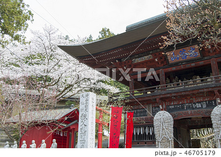 秩父札所4番高谷山金昌寺 秩父札所4番高谷山金昌寺 46705179