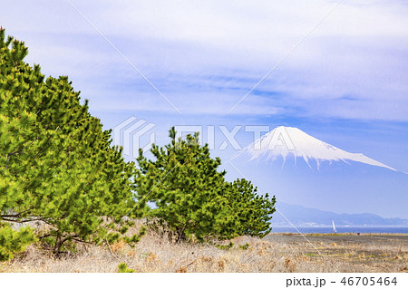 富士山と三保の松原、静岡県静岡市清水区三保海岸にて 46705464