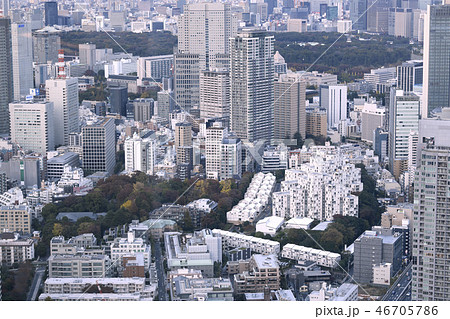 日本の東京都市景観 六本木や大手町などの街並みを望む 日本の東京都市景観 六本木や大手町などの街並みを望む 46705786