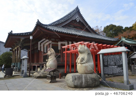 屋島寺の「本堂」(香川県高松市屋島東町字屋島峯) 屋島寺の「本堂」(香川県高松市屋島東町字屋島峯) 46706240
