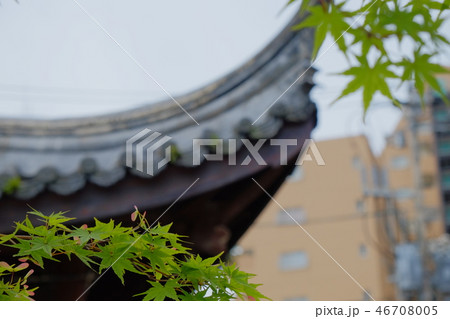 2017長崎出島その6 2017長崎出島その6 46708005