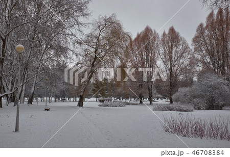 colorful Frozen winter forest and shrubs with snow covered trees. 46708384