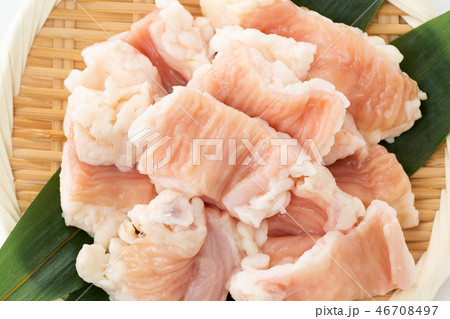 牛ホルモン　シマチョウ 46708497