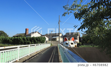 愛知県　常滑　見守り猫「とこにゃん」 46708982