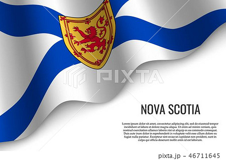 waving flag with copyspace 46711645