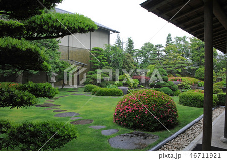 華鴒園 緑の庭園 春 華鴒園 緑の庭園 春 46711921