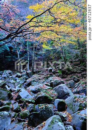 赤目四十八滝 46712637