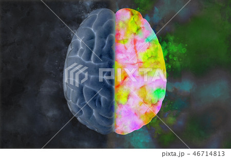 Brain illustration with left and right concept Brain illustration with left and right concept 46714813