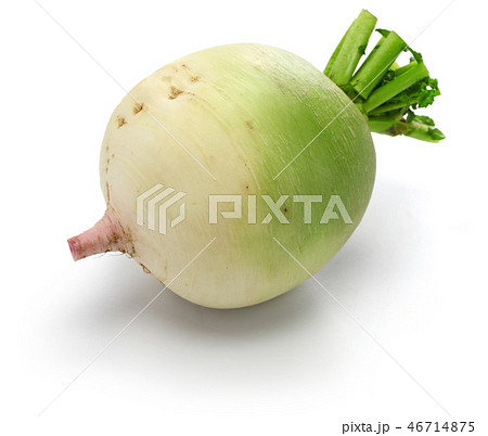 紅芯大根 紅芯大根 46714875