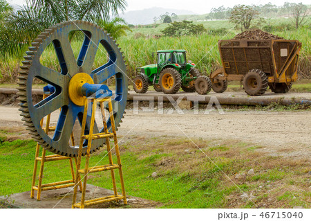Sugarcane harvest in Costa Rica 46715040