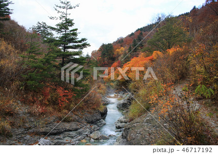 川原毛遊歩道の風景(秋田県湯沢市) 川原毛遊歩道の風景(秋田県湯沢市) 46717192