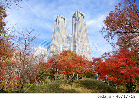 紅葉の新宿中央公園と東京都庁　富士見台 46717718
