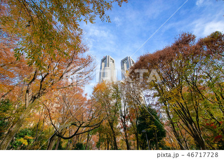 紅葉の新宿中央公園と東京都庁 46717728