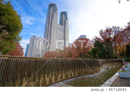 紅葉の新宿中央公園と東京都庁 新宿白糸の滝 紅葉の新宿中央公園と東京都庁 新宿白糸の滝 46718083