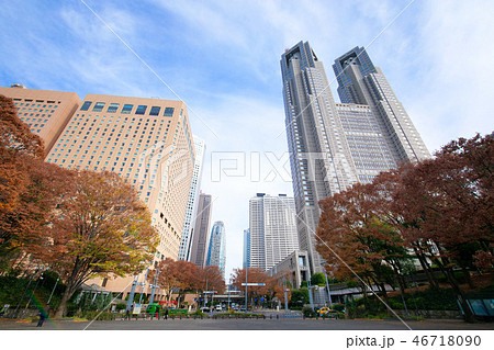 紅葉の新宿中央公園と東京都庁 46718090
