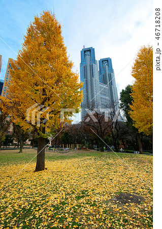 紅葉の新宿中央公園と東京都庁 イチョウ 紅葉の新宿中央公園と東京都庁 イチョウ 46718208