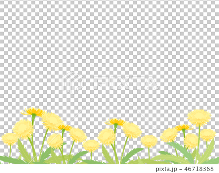 たんぽぽ たんぽぽ 46718368
