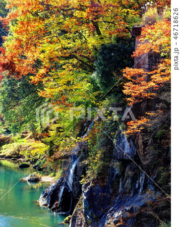 高津戸峡の紅葉 46718626