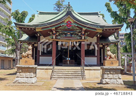 蓮根 氷川神社 蓮根 氷川神社 46718843