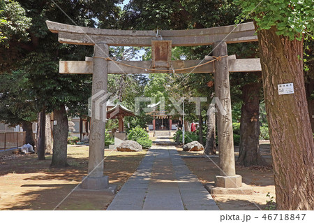 蓮根 氷川神社 蓮根 氷川神社 46718847