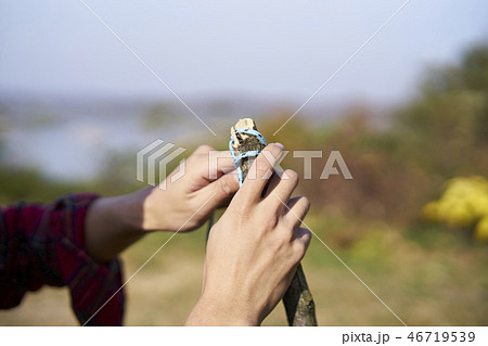 男 男性 男の子 46719539