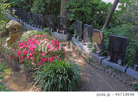 円明院 円明院 46719696