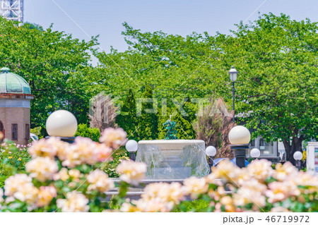 日本の春　横須賀ヴェルニー公園のバラ園 46719972
