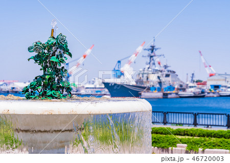 日本の春　横須賀ヴェルニー公園のバラ園 46720003