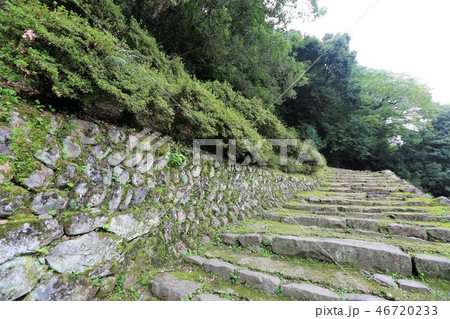 宇和島城 46720233