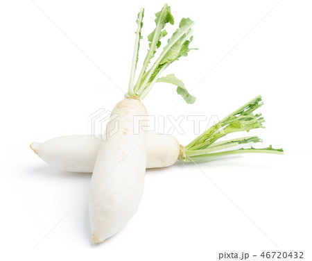 daikon radishes isolated on white 46720432
