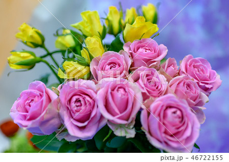 東海フラワーショーの薔薇 46722155